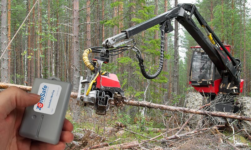 health and safety in forestry and timber work