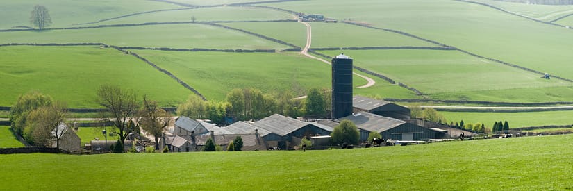 image-de-la-sécurité-agricole-entourée-de-champs-verts